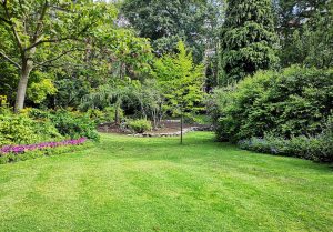 Optimiser l'expérience du jardin à Merck-Saint-Lievin